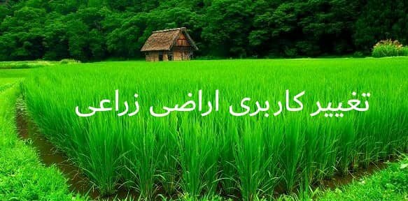 صدور ۹۰۸ فقره مجوز تغییر کاربری اراضی کشاورزی در کردستان صدور ۹۰۸ فقره مجوز تغییر کاربری اراضی کشاورزی در کردستان
