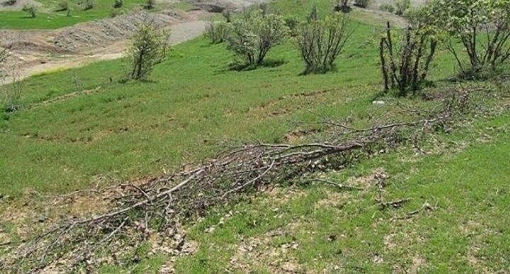 زمین خواری 100میلیاردی در چالوس