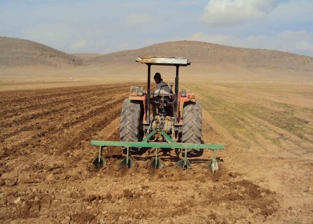 عملیاتی شدن ۹۰ درصد برنامه ابلاغی طرح جهش تولید در دیمزارهای  کردستان