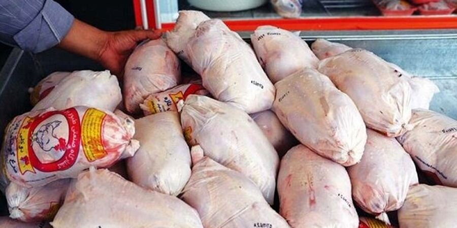 صادرات مرغ استان کرمان به پاکستان در آینده ای نزدیک 