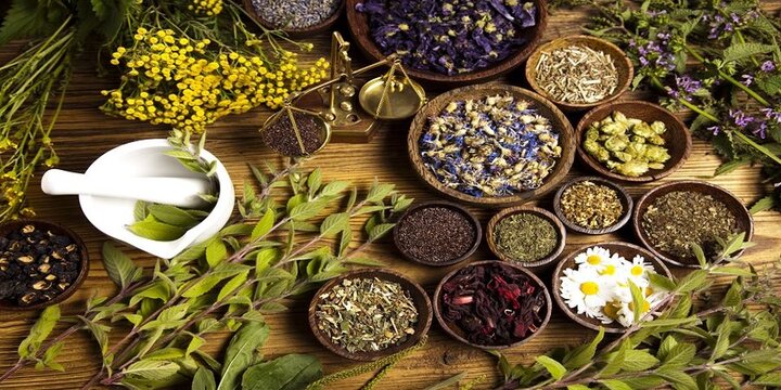 بررسی بیش از ۳هزار گونه گیاهی انحصاری؛ یک‌سوم گونه‌ها دارویی هستند