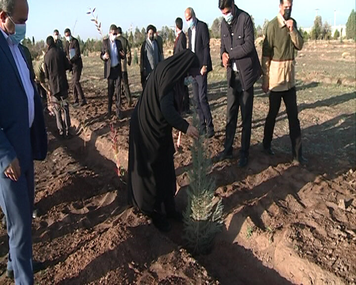 کاشت درخت در محوطه فرستنده رادیویی صدا و سیمای کرمان