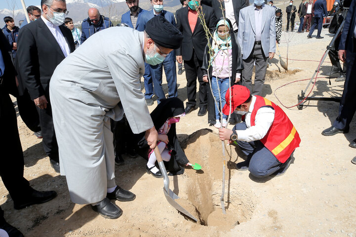 کاشت درخت توسط رئیس جمهور در روز درختکاری