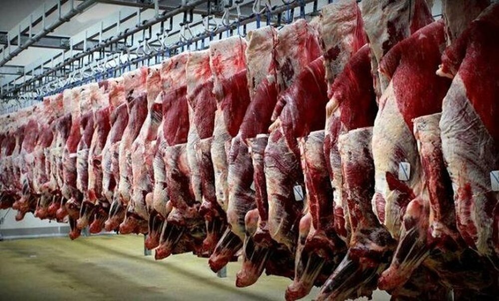 سهم ۲۵ درصدی عشایر در تولید گوشت قرمز 