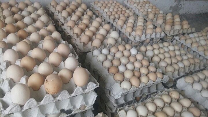 کشف انبار حاوی ۲۱ هزار تخم مرغ احتکار شده در کرمان