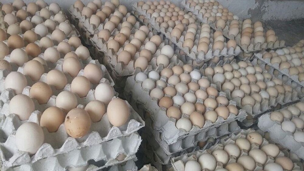 کشف انبار احتکار تخم مرغ در شهرستان بردسیر