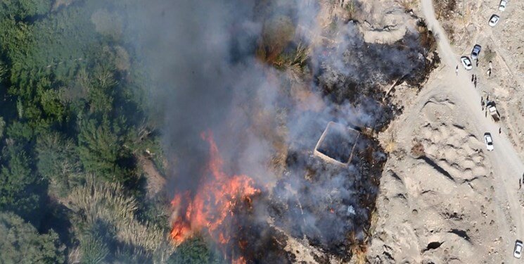 بی احتیاطی گردشگران موجب حریق جنگل های شهداد کرمان شد