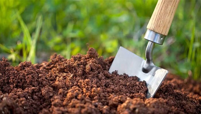 روند صعودی مصرف کود در کردستان با کاهش ۴۵ درصدی قیمت آن
