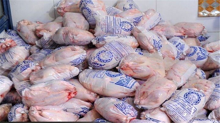 ترویج مصرف مرغ سایز در کشور ضرورت دارد