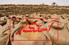 کشف ۳۶۰ تن گندم احتکار شده در شهرستان خدابنده
