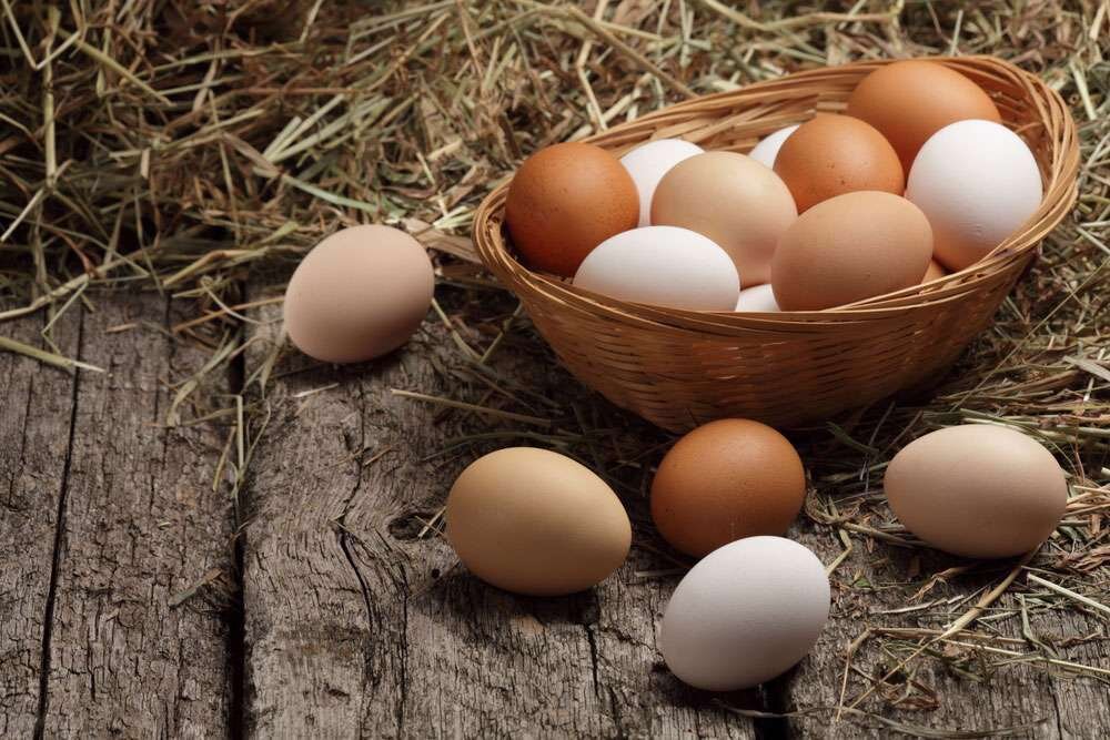 5 نکته در مورد تخم مرغ که خوب است بدانید
