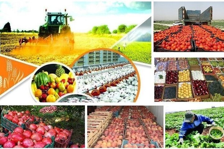 امنیت غذایی با کمک شرکت‌های دانش‌بنیان ارتقا می‌یابد/کاهش واردات محصولات کشاورزی