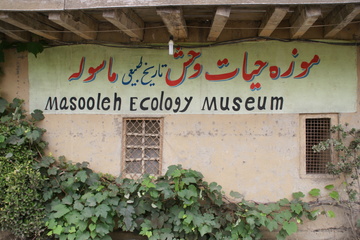 موزه حیات وحش ماسوله