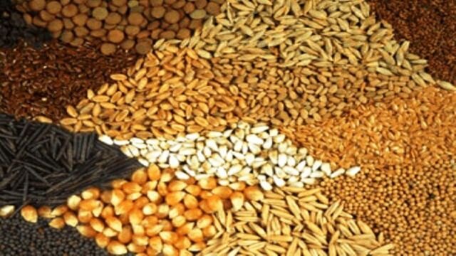 کشف ۴۳ میلیارد ریال گندم و نهاده دامی احتکار شده در کردستان