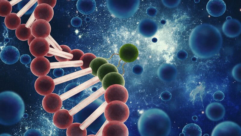 پیشگیری از ابتلا به دیابت به کمک سلول‌های بنیادی
