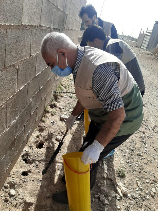 اجرای عملیات جونده کشی جهت مبارزه با بیماری سالک در شهرستان استهبان