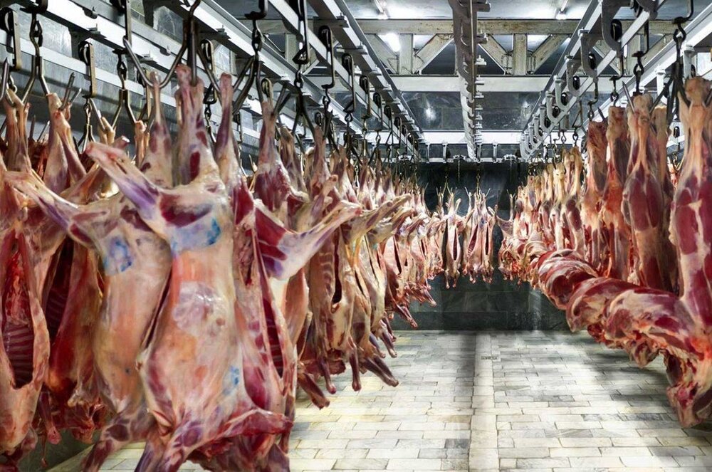 افزایش قیمت گوشت گوساله به ۲۵۰ هزار تومان