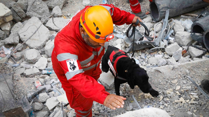 اعلام آمادگی هلال‌احمر برای اعزام تیم‌های امدادی و درمانی به مناطق زلزله‌زده ژاپن