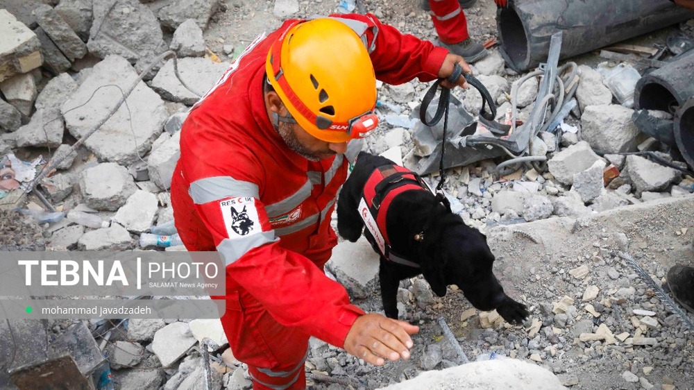 اعلام آمادگی هلال‌احمر برای اعزام تیم‌های امدادی و درمانی به مناطق زلزله‌زده ژاپن