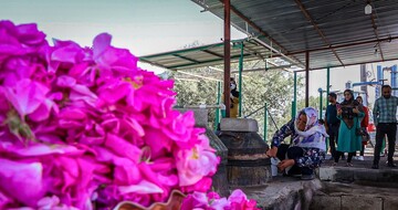 جشنواره گل محمدی لاله زار