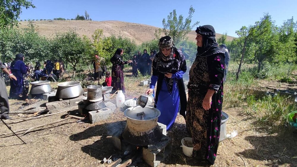 ۳۰ درصد از سهم اشتغال استان کردستان مربوط به کشاورزی است