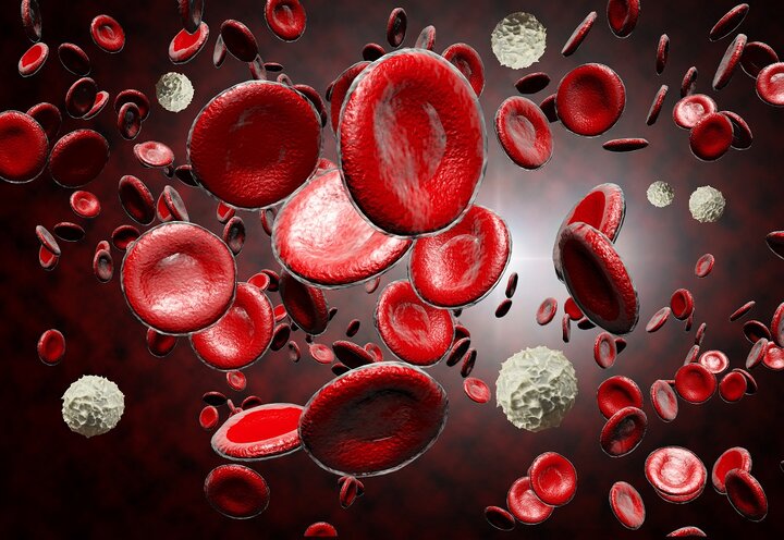 نجات جان کودک سه ساله با اهدای سلولهای بنیادی خونساز