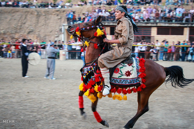کردستان از قطب های اصلی  پرورش اسب اصیل  و ورزش سوارکاری درکشوراست