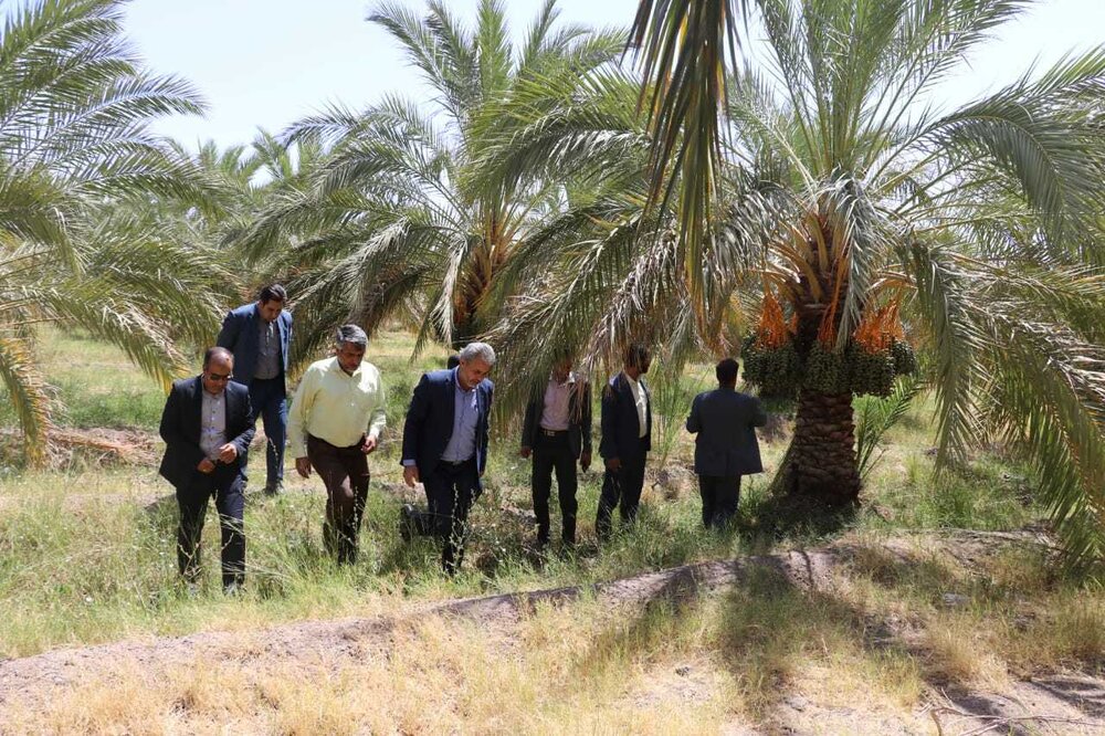 ۵۰ درصد مدارس استان کرمان خیرساز هستند/تغییر نام مدارس خیّرساز تخلف است