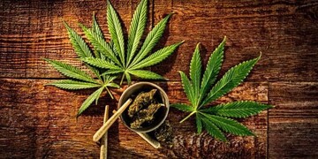 احتمال افزایش برخی اختلالات روان‌پزشکی با مصرف گل