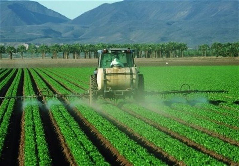 وضعیت کشت محصولات پرآب در استان کردستان/ کاهش آب‌های زیرزمینی در روزهای کم‌آبی