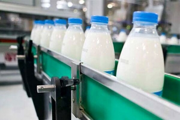 فواید و مضرات شیربادام/تبعات جایگزینی با شیرگاو