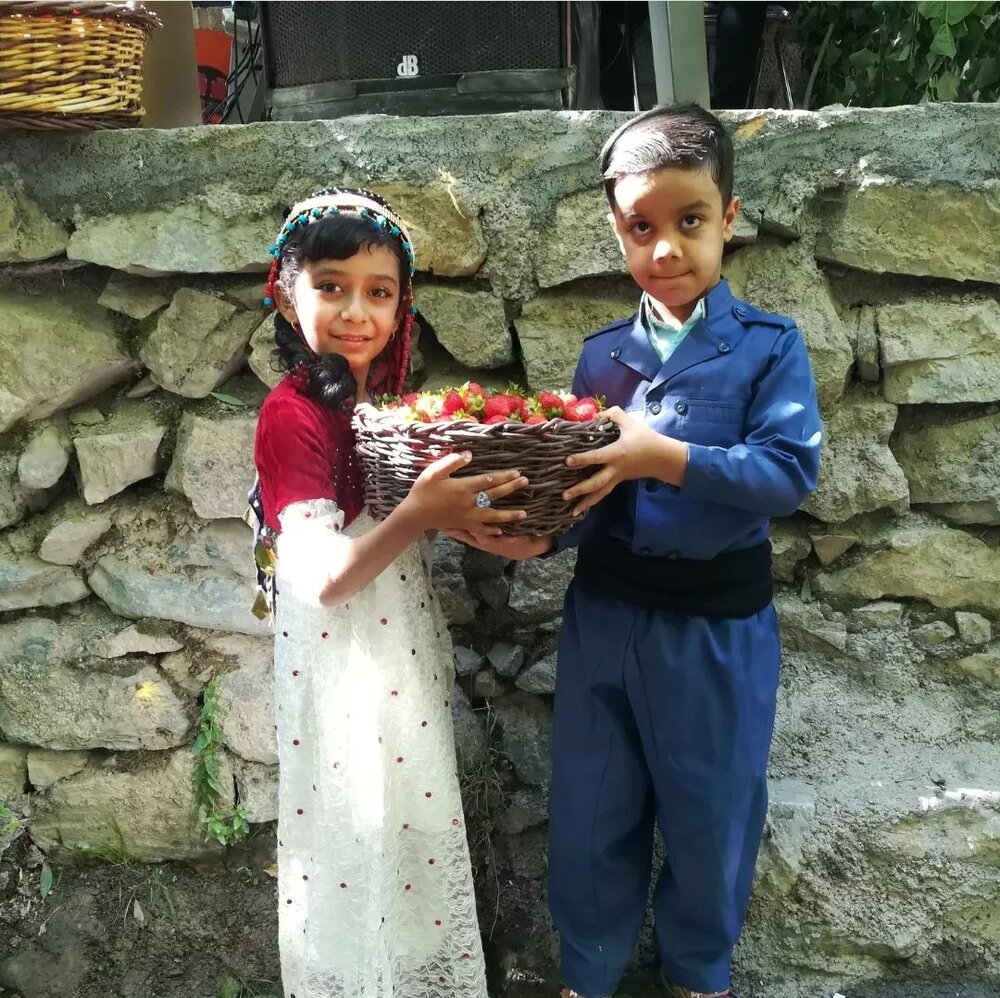  ضرورت برند سازی برای توت کردی