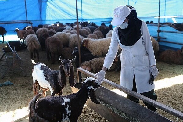 اطلاعیه دام پزشکی کردستان در آستانه فرا رسیدن عید سعید قربان