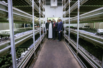 بازدید رئیس جمهور از بزرگترین مزارع پرورش قارچ کشور