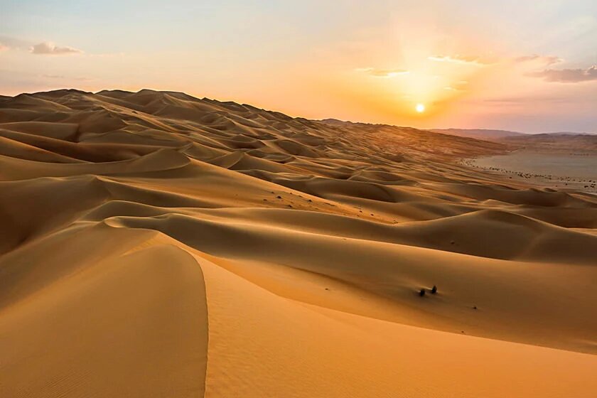 گمشده در صحرای عربستان