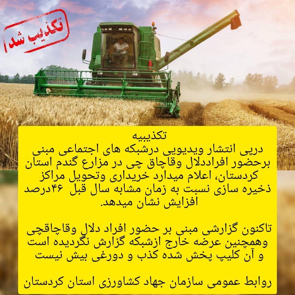 حضور دلالان گندم در مزارع گندم کردستان تکذیب شد
