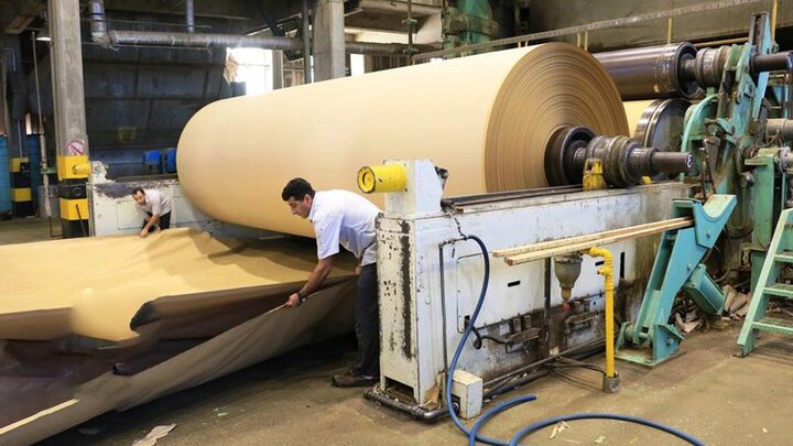 توسعه صنعت چوب و کاغذ در دستور کار جدی قرار دارد