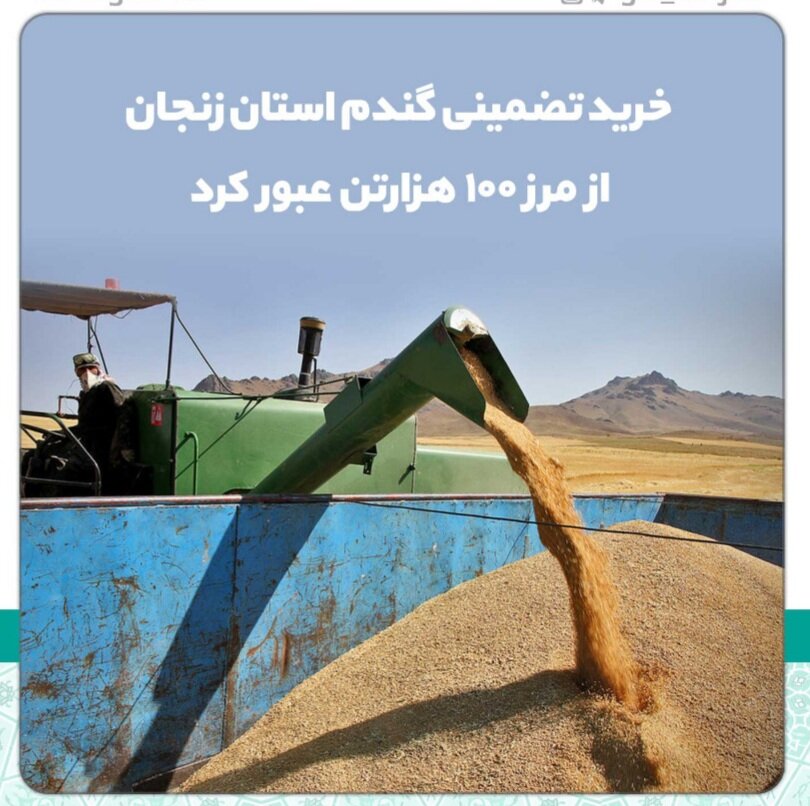خرید تضمینی گندم از مرز ۱۰۰ هزارتن در زنجان عبور کرد 

