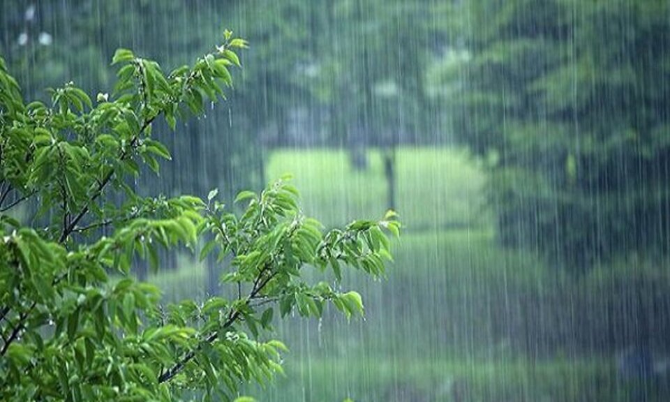 بارش‌ باران تا پنجشنبه در مناطق شمالی ادامه دارد