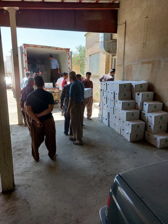توزیع بسته های لبنی میان مددجویان بهزیستی کردستان به روایت تصویر 