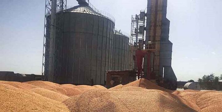 ظرفیت ذخیره‌سازی ۲۱ میلیون تن غلات در کشور/ ایران بزرگ‌ترین ذخایر نگهداری گندم خاورمیانه را دارد