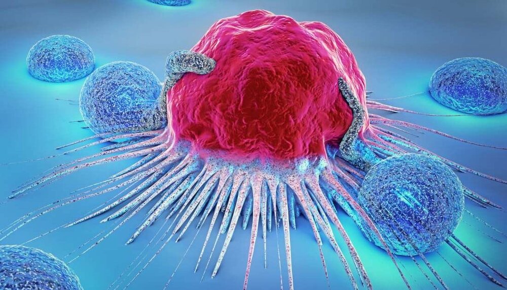 آیا همه افراد دارای سلول سرطانی در بدن هستند؟