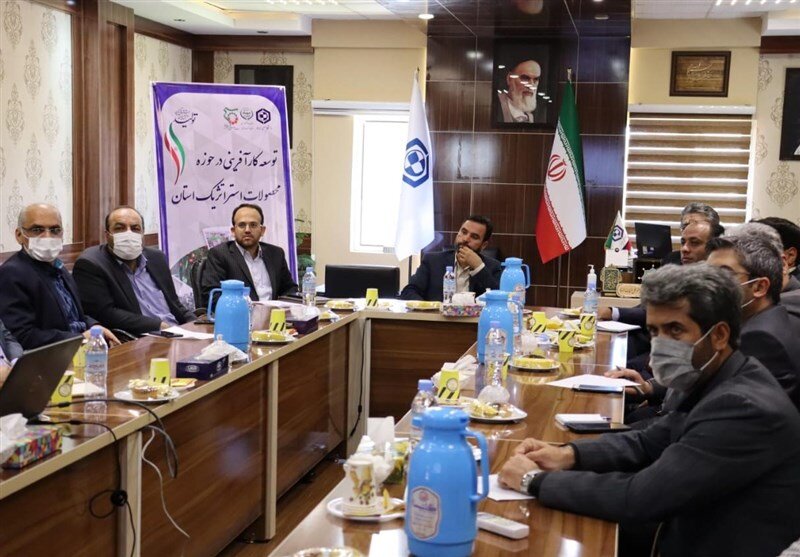 طرح "توسعه کارآفرینی در حوزه محصولات استراتژیک خراسان جنوبی" آغاز شد
