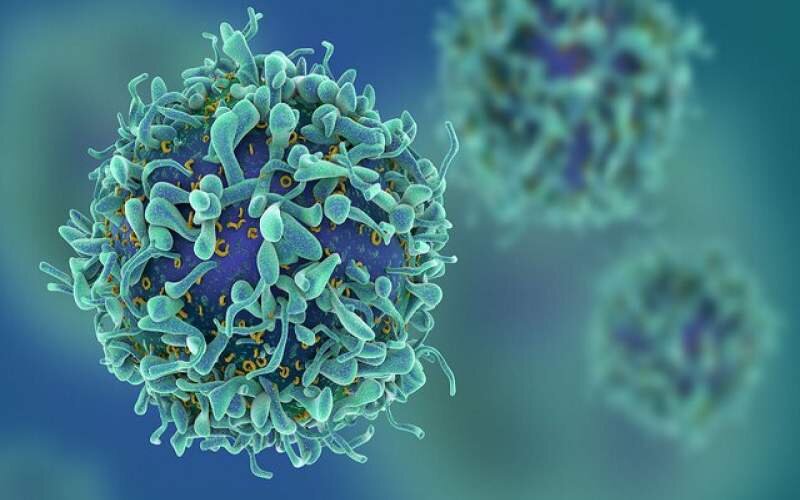 تشخیص زودهنگام علایم خطر بیماری سرطان زمینه ساز افزایش موفقیت در درمان است
