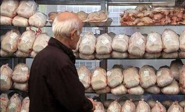 توزیع مرغ تازه و منجمد با قیمت مصوب از امروز در سامانه ستکاوا