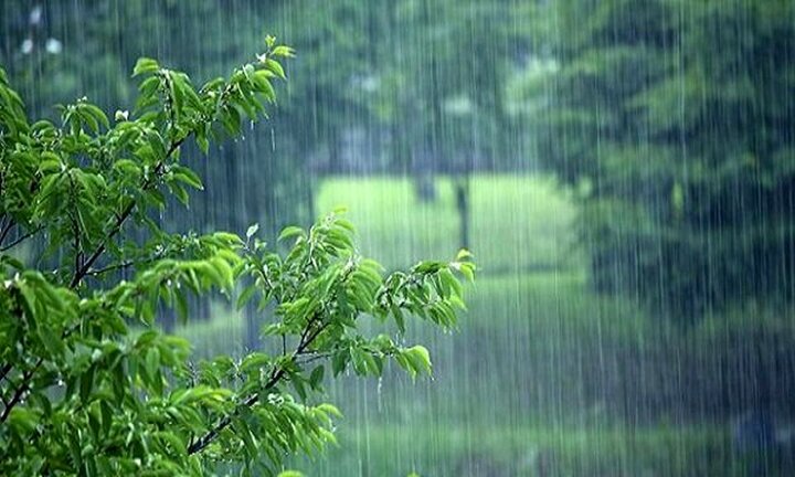 بارش باران، گاهی رعد و برق و وزش باد شدید در استان‌های شمالی