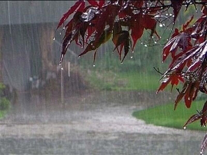 بارش باران و وزش باد در مناطق شمالی کشور از امروز