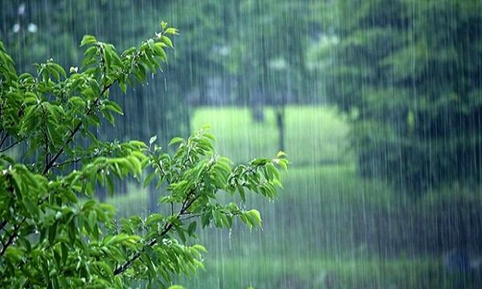 باران شدید در رامسر + فیلم