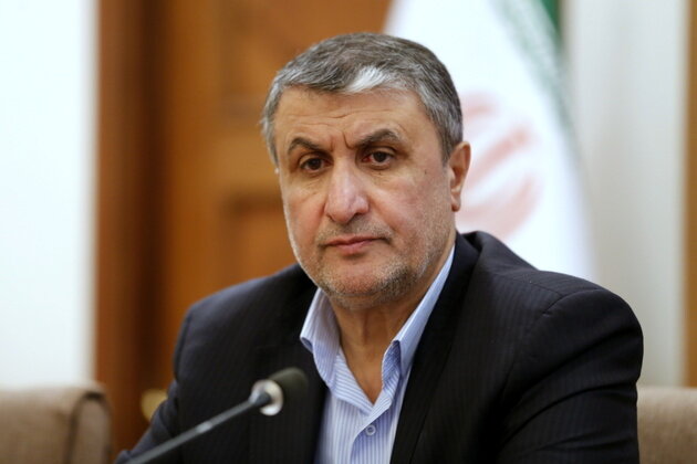 رئیس سازمان انرژی اتمی وارد کرمان شد