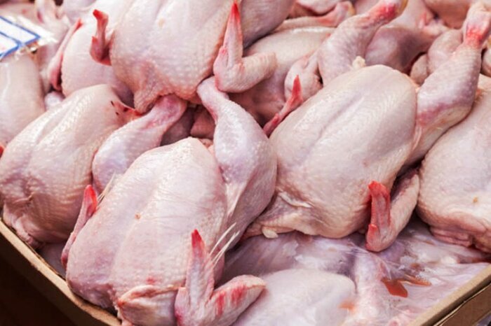 روزانه ۱۱۷ تن گوشت مرغ در استان کردستان مصرف می شود